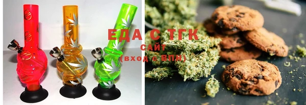 ECSTASY Алзамай