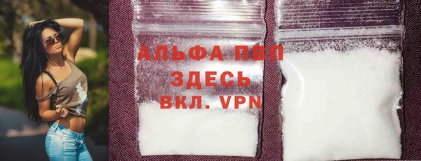 стаф Абинск