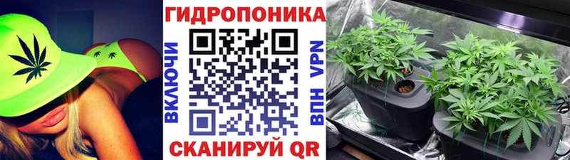 Бошки марихуана LSD WEED  где продают   МЕГА онион  Мегион 